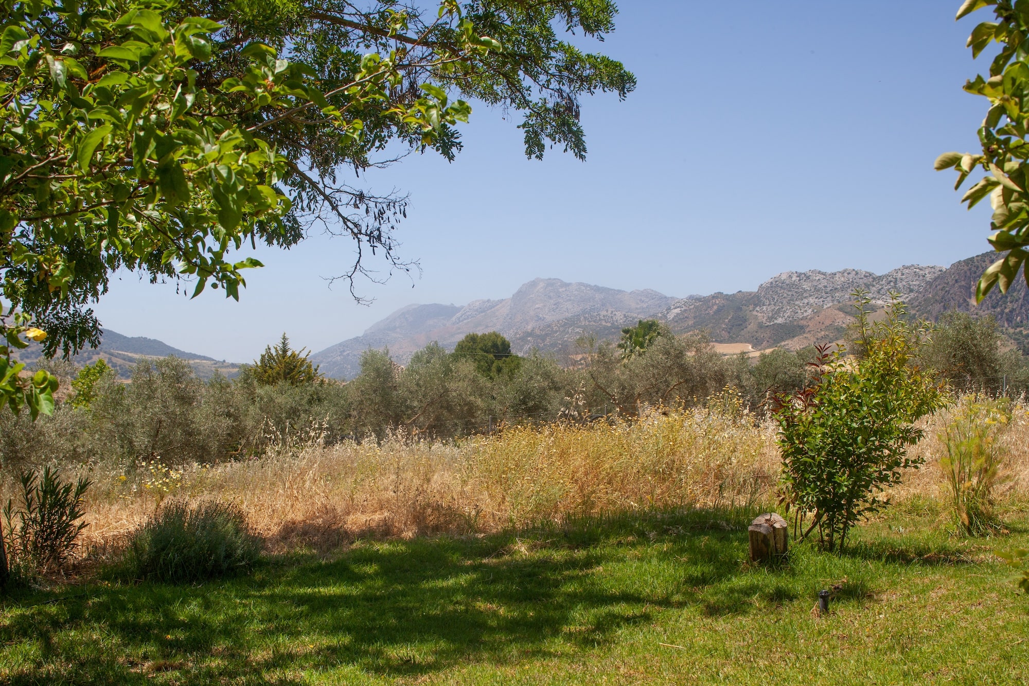 views in andalucia spain